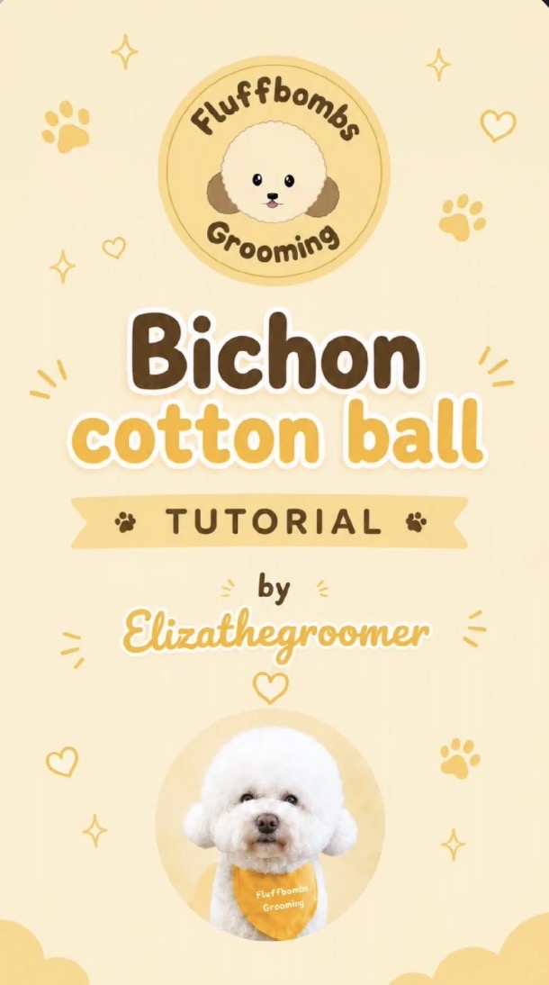 Bichon Cotton Ball tutorial cover