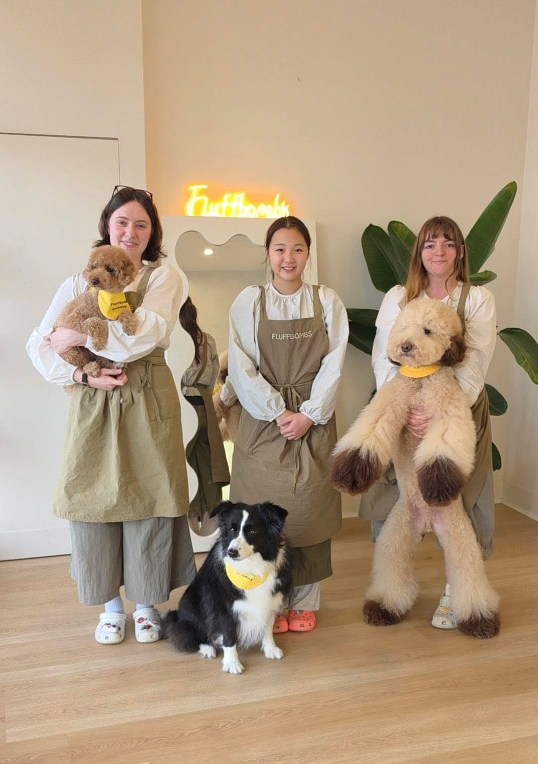 The Fluffbombs Grooming team holding freshly groomed dogs in the Balwyn North salon